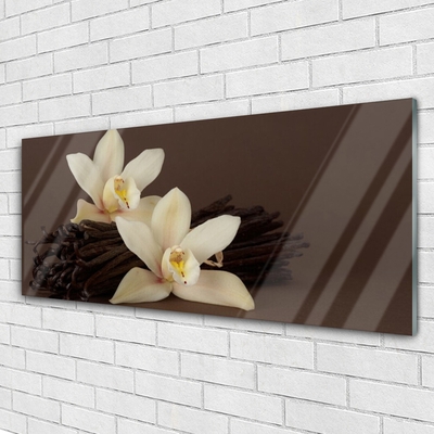 Glasbild aus Plexiglas® Vanille Pflanzen