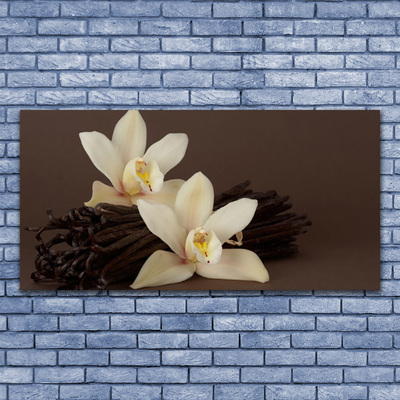 Glasbild aus Plexiglas® Vanille Pflanzen
