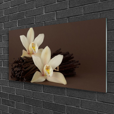 Glasbild aus Plexiglas® Vanille Pflanzen