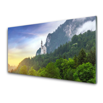 Glasbild aus Plexiglas® Wald Gebirge Landschaft