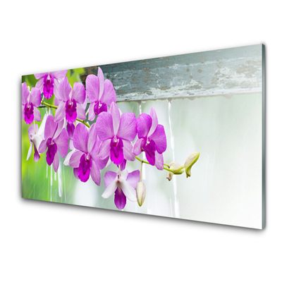 Glasbild aus Plexiglas® Blumen Pflanzen