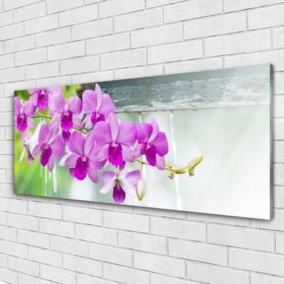 Glasbild aus Plexiglas® Blumen Pflanzen