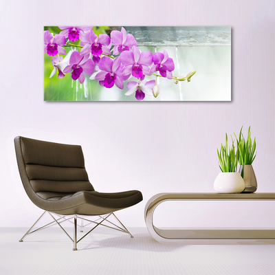 Glasbild aus Plexiglas® Blumen Pflanzen