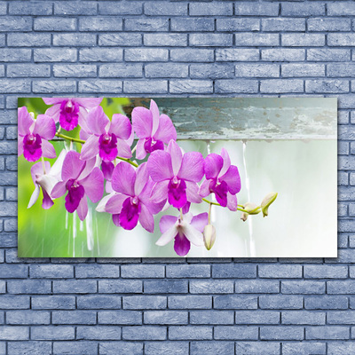 Glasbild aus Plexiglas® Blumen Pflanzen