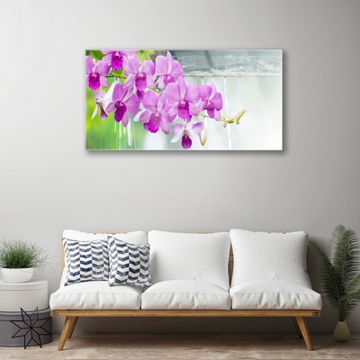 Glasbild aus Plexiglas® Blumen Pflanzen