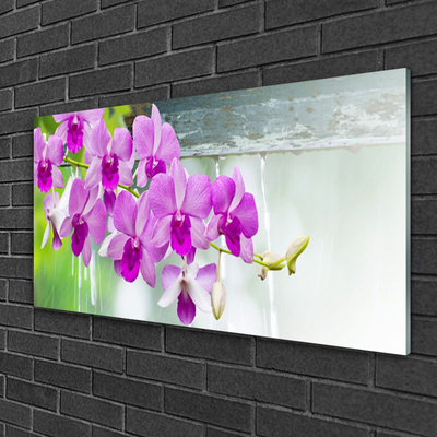 Glasbild aus Plexiglas® Blumen Pflanzen