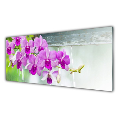 Glasbild aus Plexiglas® Blumen Pflanzen