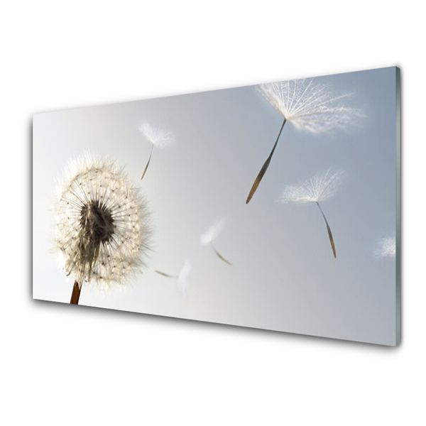 Glasbild aus Plexiglas® Pusteblume Pflanzen