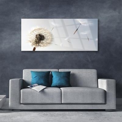 Glasbild aus Plexiglas® Pusteblume Pflanzen