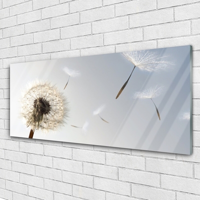 Glasbild aus Plexiglas® Pusteblume Pflanzen