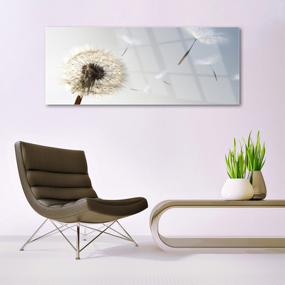 Glasbild aus Plexiglas® Pusteblume Pflanzen