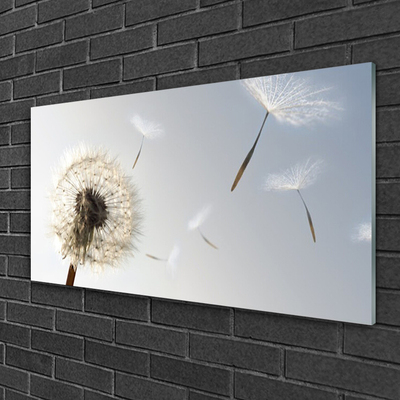 Glasbild aus Plexiglas® Pusteblume Pflanzen