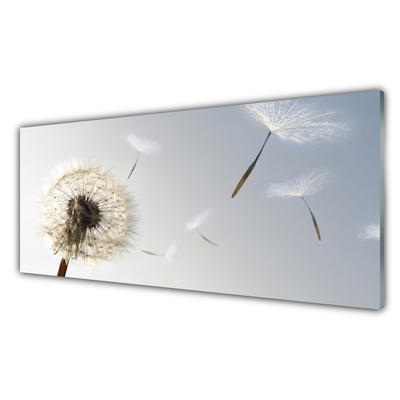 Glasbild aus Plexiglas® Pusteblume Pflanzen