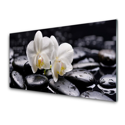 Glasbild aus Plexiglas® Blumen Steine Kunst