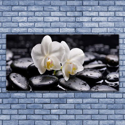 Glasbild aus Plexiglas® Blumen Steine Kunst