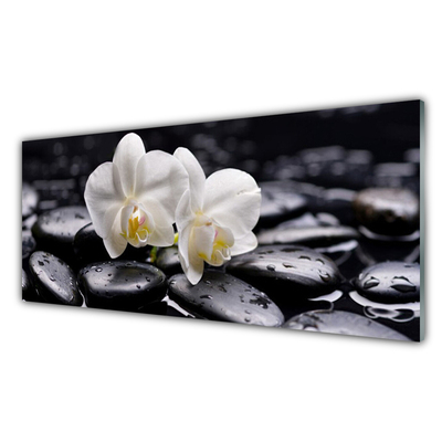 Glasbild aus Plexiglas® Blumen Steine Kunst