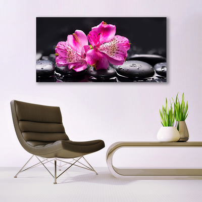 Glasbild aus Plexiglas® Blumen Steine Pflanzen