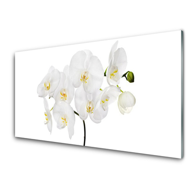 Glasbild aus Plexiglas® Blumen Pflanzen