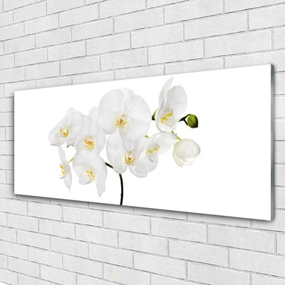 Glasbild aus Plexiglas® Blumen Pflanzen