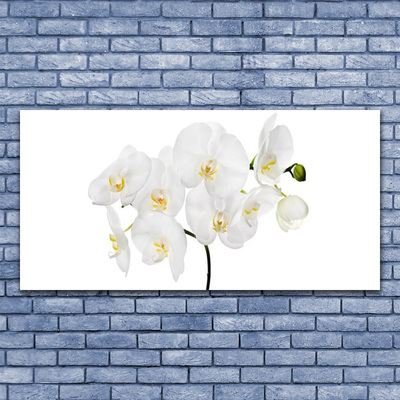 Glasbild aus Plexiglas® Blumen Pflanzen