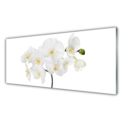 Glasbild aus Plexiglas® Blumen Pflanzen