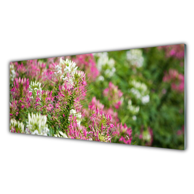 Glasbild aus Plexiglas® Blumen Pflanzen