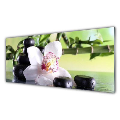 Glasbild aus Plexiglas® Bambusrohr Blume Steine Pflanzen