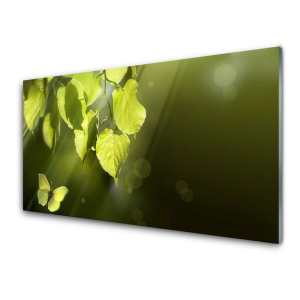 Glasbild aus Plexiglas® Schmetterling Blätter Natur