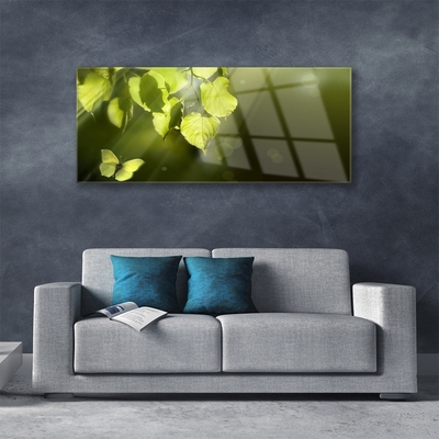 Glasbild aus Plexiglas® Schmetterling Blätter Natur