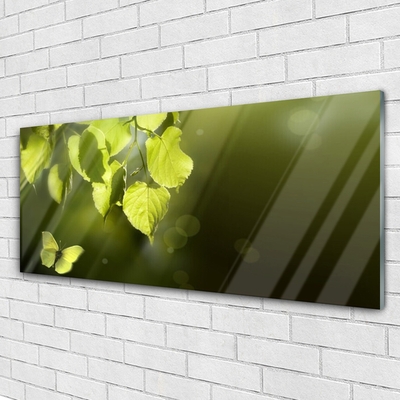 Glasbild aus Plexiglas® Schmetterling Blätter Natur