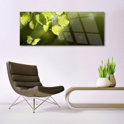 Glasbild aus Plexiglas® Schmetterling Blätter Natur
