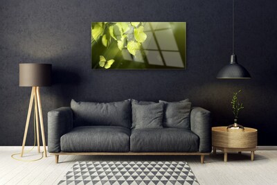 Glasbild aus Plexiglas® Schmetterling Blätter Natur