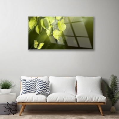 Glasbild aus Plexiglas® Schmetterling Blätter Natur