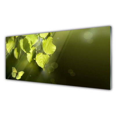 Glasbild aus Plexiglas® Schmetterling Blätter Natur