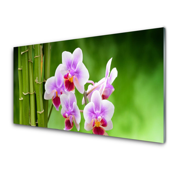 Glasbild aus Plexiglas® Bambusrohre Blumen Pflanzen