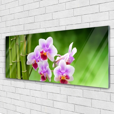 Glasbild aus Plexiglas® Bambusrohre Blumen Pflanzen