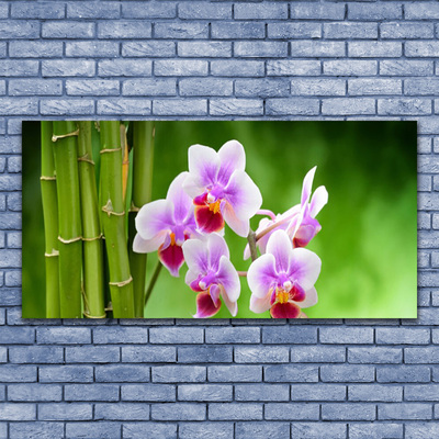 Glasbild aus Plexiglas® Bambusrohre Blumen Pflanzen