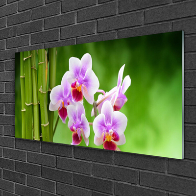 Glasbild aus Plexiglas® Bambusrohre Blumen Pflanzen