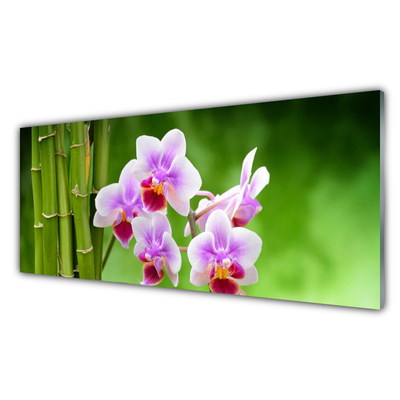 Glasbild aus Plexiglas® Bambusrohre Blumen Pflanzen