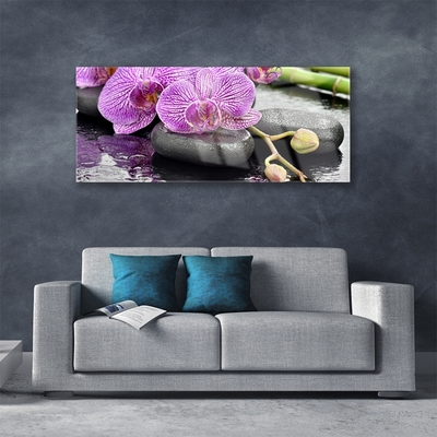 Glasbild aus Plexiglas® Blumen Steine Pflanzen