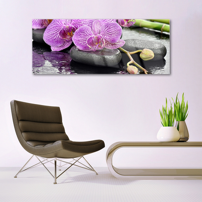 Glasbild aus Plexiglas® Blumen Steine Pflanzen