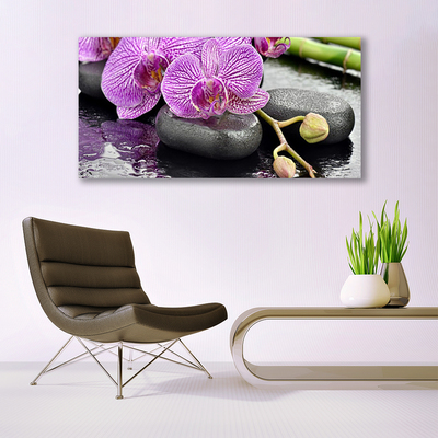 Glasbild aus Plexiglas® Blumen Steine Pflanzen