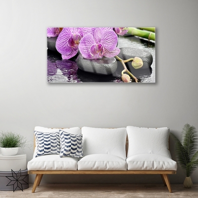 Glasbild aus Plexiglas® Blumen Steine Pflanzen