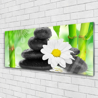 Glasbild aus Plexiglas® Bambusrohre Blume Steine Kunst