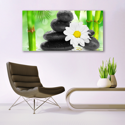 Glasbild aus Plexiglas® Bambusrohre Blume Steine Kunst