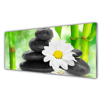 Glasbild aus Plexiglas® Bambusrohre Blume Steine Kunst