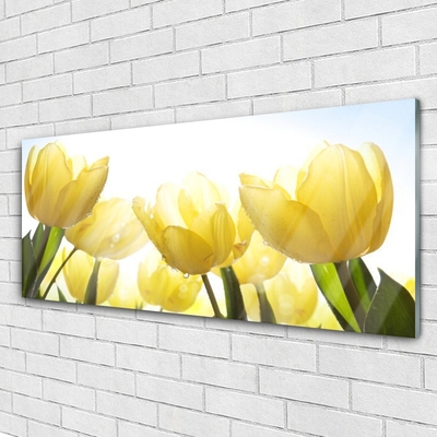 Glasbild aus Plexiglas® Tulpen Pflanzen