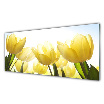 Glasbild aus Plexiglas® Tulpen Pflanzen