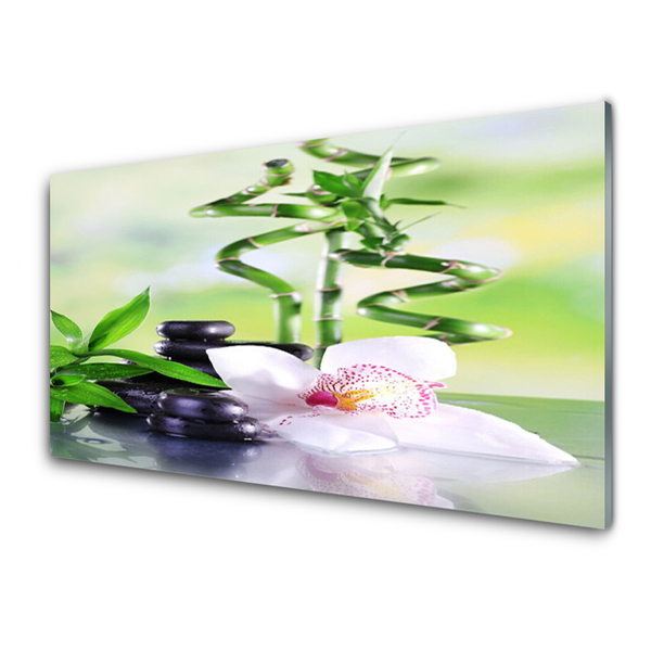 Glasbild aus Plexiglas® Bambusrohre Blume Steine Pflanzen