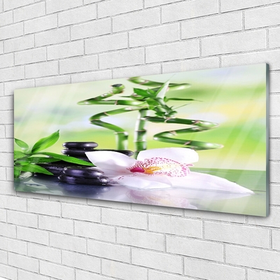 Glasbild aus Plexiglas® Bambusrohre Blume Steine Pflanzen